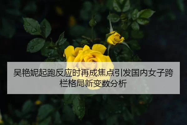 吴艳妮起跑反应时再成焦点引发国内女子跨栏格局新变数分析