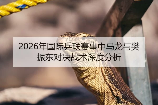 2026年国际乒联赛事中马龙与樊振东对决战术深度分析