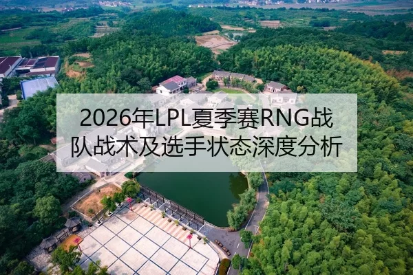 2026年LPL夏季赛RNG战队战术及选手状态深度分析