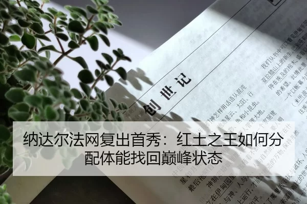 na-da-er-fa-wang-fu-chu-shou-xiu-hong-tu-zhi-wang-ru-he-fen-pei-ti-neng-zhao-hui-dian-feng-zhuang-tai-2-331.jpg