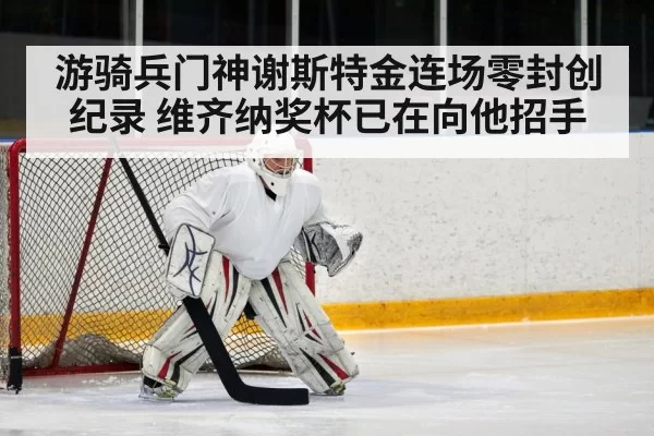 hockey defenseman